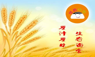 馍香杨家 一张图读懂高效餐饮管理